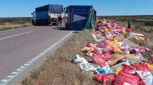 Imagen de Llevaba alimento para perros, volcó en la Ruta 251 y para no tirarlo, donó todo a refugios de Río Colorado