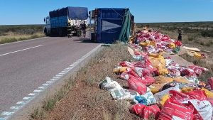 Llevaba alimento para perros, volcó en la Ruta 251 y para no tirarlo, donaron todo a refugios de Río Colorado