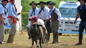 Fiestas populares en Neuquén: la excusa para comer un chivito, bailar una cueca y disfrutar los mejores paisajes