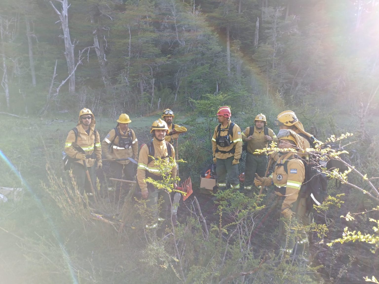 Incendio forestal al sur de Bariloche. Foto: gentileza.