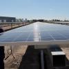 Imagen de Renovables: dos parques solares en Mendoza se sumarán a la red eléctrica