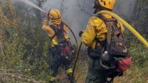 Imagen de El incendio en el parque Lanín está contenido: «Debimos trabajar toda la noche»