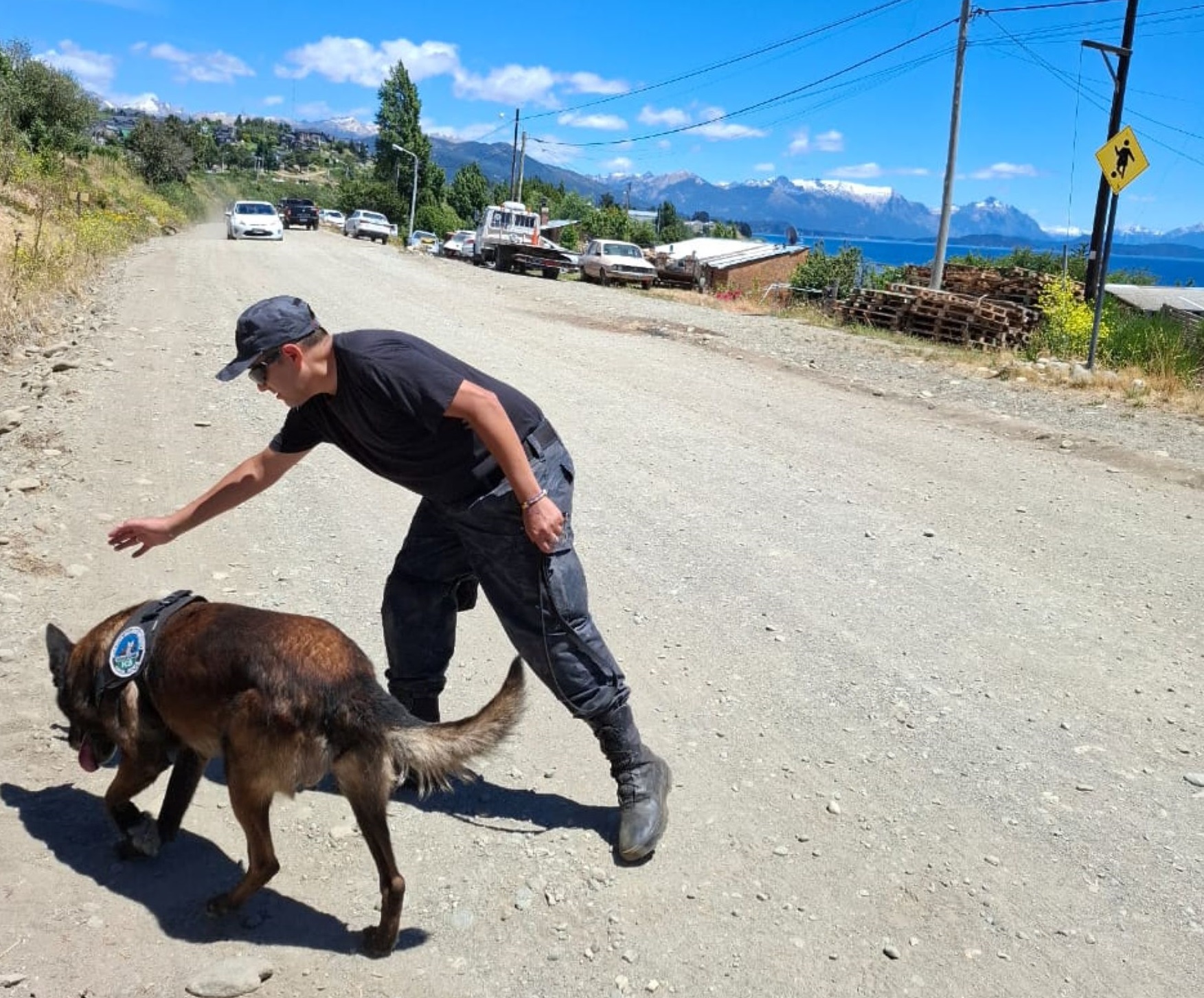 Los perros se sumaron a la búsqueda de Efraín, sin resultados positivos. Foto: gentileza