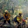 Imagen de Incendio al sur de Bariloche: restringen el tránsito en la ruta que conduce a Cascada Los Alerces