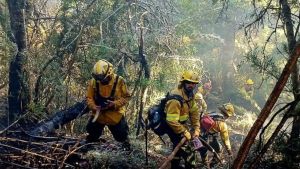 Incendio al sur de Bariloche: restringen el tránsito en la ruta que conduce a Cascada Los Alerces