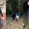 Imagen de Se filtraron fotos y videos de Mauro Icardi cazando con una de sus hijas y degollando una liebre