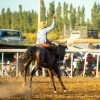 Imagen de La Fiesta del Chacarero y el Hombre de Campo en Picún Leufú ya tiene fecha: entradas, sorteos y más