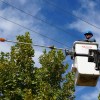 Imagen de Corte de luz programado en Roca este miércoles: horario y zona afectada