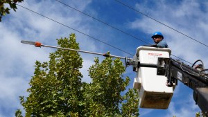 Corte de luz programado en Roca este miércoles: horario y zona afectada