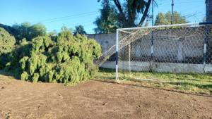 Por el temporal, se alteró la programación del Mundialito Infantil de fútbol