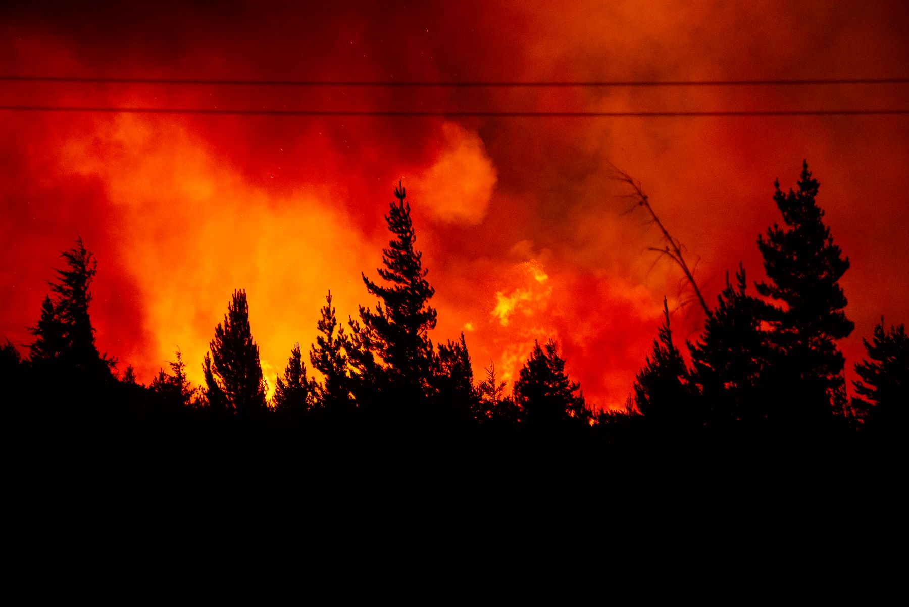 La zona de La Rinconada y el predio ferial, los más afectados por el fuego que se desató ayer al mediodía. Foto: Marcelo Martínez