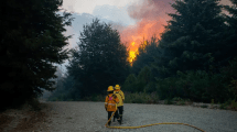 Imagen de Alerta roja por calor extremo en Neuquén: qué espera Río Negro en medio de los incendios