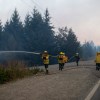 Imagen de «Hay gente desesperada» en El Bolsón: robo a los bomberos, personas pérdidas y mascotas heridas