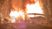 Imagen de Video | Impresionante incendio en San Martín de los Andes: arrasó con una lancha, un auto y una camioneta