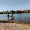 Imagen de La nena pasó la noche desaparecida: la zona no habilitada del Limay y el operativo especial entre Neuquén y Río Negro