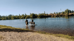 La nena pasó la noche desaparecida: la zona no habilitada del Limay y el operativo especial entre Neuquén y Río Negro