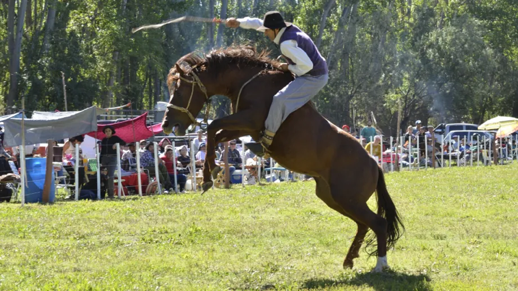 Fiesta Provincial del Gaucho.