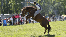 Imagen de Vuelve la tradicional Fiesta Provincial del Gaucho al Alto Valle: cuándo y dónde será