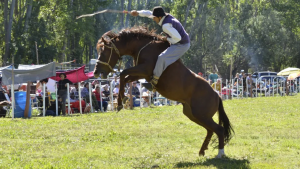 Vuelve la tradicional Fiesta Provincial del Guacho al Alto Valle: cuándo y dónde será