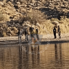 Imagen de Quién era el hombre de Piedra del Águila que murió ahogado en el río Limay