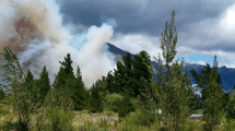 Imagen de Incendio forestal de grandes magnitudes en Chubut: nubes de humo y fuerte viento en el Lago Epuyén