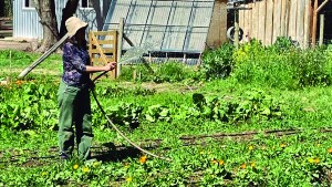 Las razones para entender por qué el futuro debe ser agroecológico