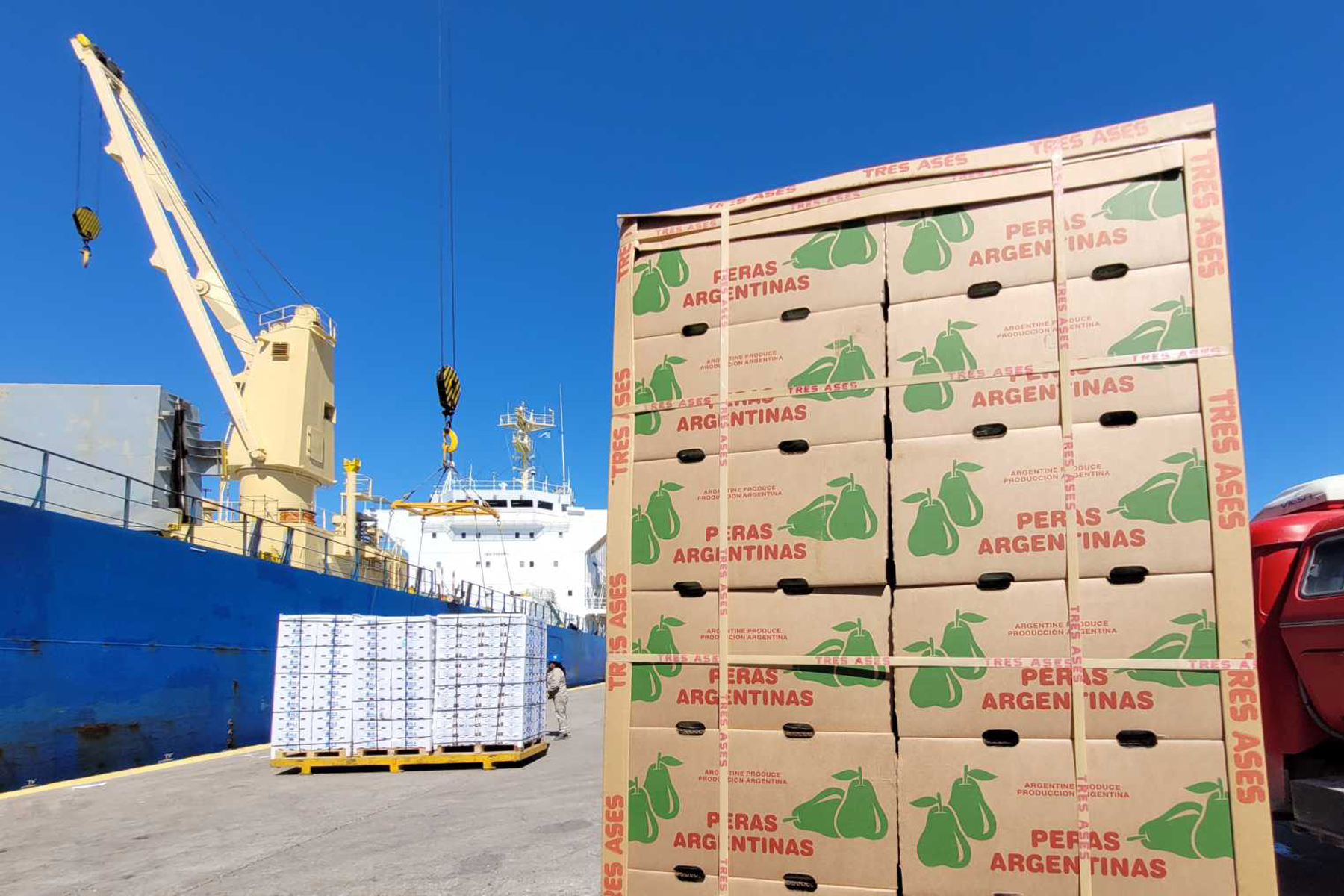 Exportación de peras y manzanas de Río Negro. Archivo.