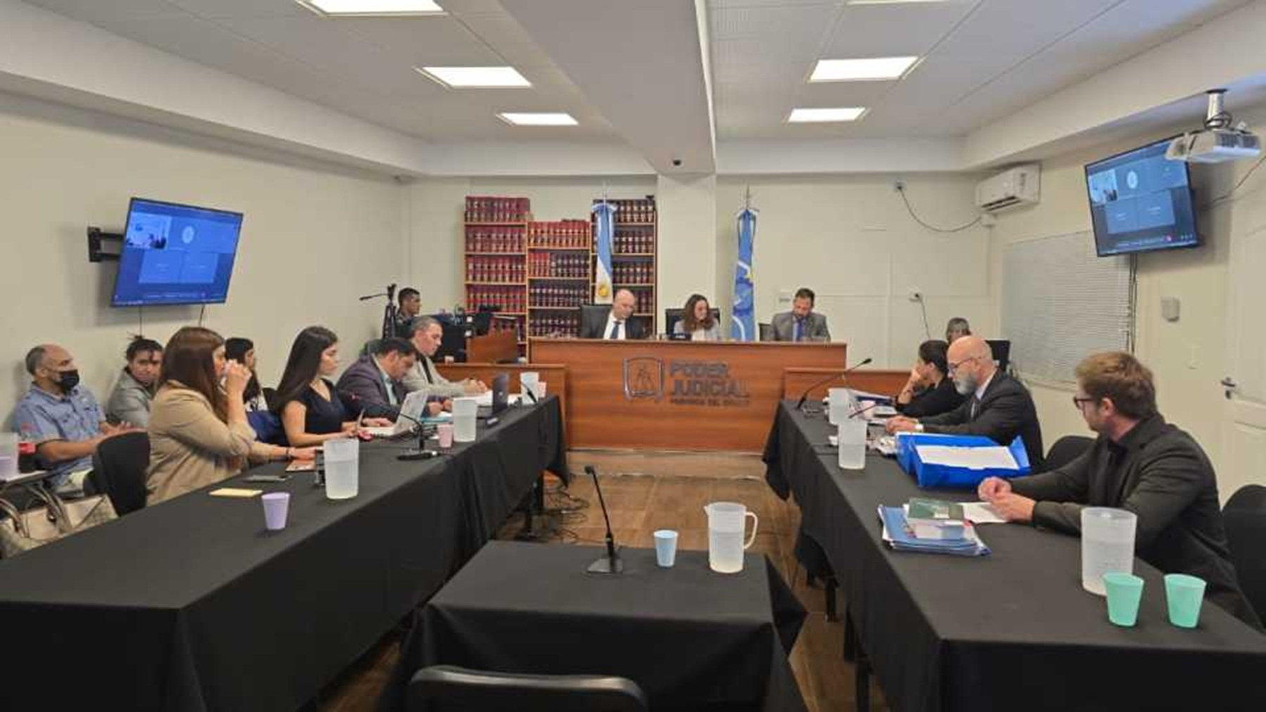 El fiscal de la Unidad Especial de Delitos contra la Administración Pública, Omar Rodríguez pidió tres años y seis meses de prisión para la exministra y exdiputada provincial de Chubut Cecilia Torres Otárola. (Foto: gentileza)