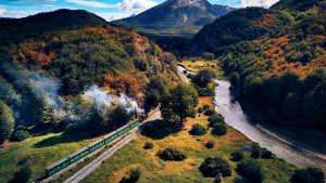 Viví el Tren del Fin del Mundo en verano: un viaje mágico por los bosques de Tierra del Fuego