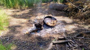 Preocupación por quemas ilegales en la región: registraron 27 denuncias por fuego en lugares no permitidos