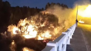 El Paseo de la Isla en Roca sufrió un incendio, y todo apunta a una posible negligencia