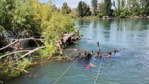 Cómo buscan a Yéssica, la nena de 9 años: ramificaciones del río, islas y campings en la zona de Roca