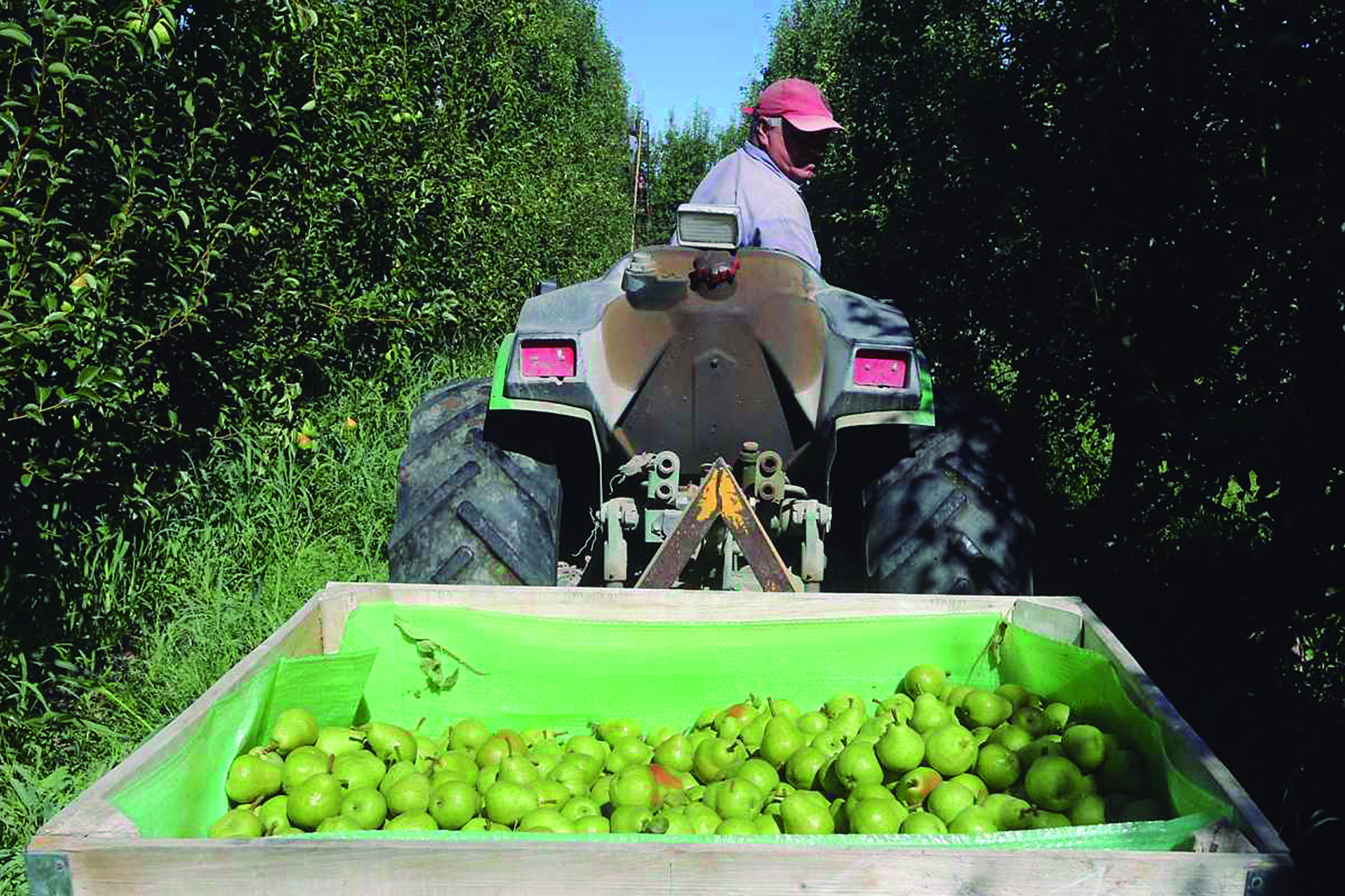 Trabajadores rurales de Río Negro. Crédito Juan Thomes