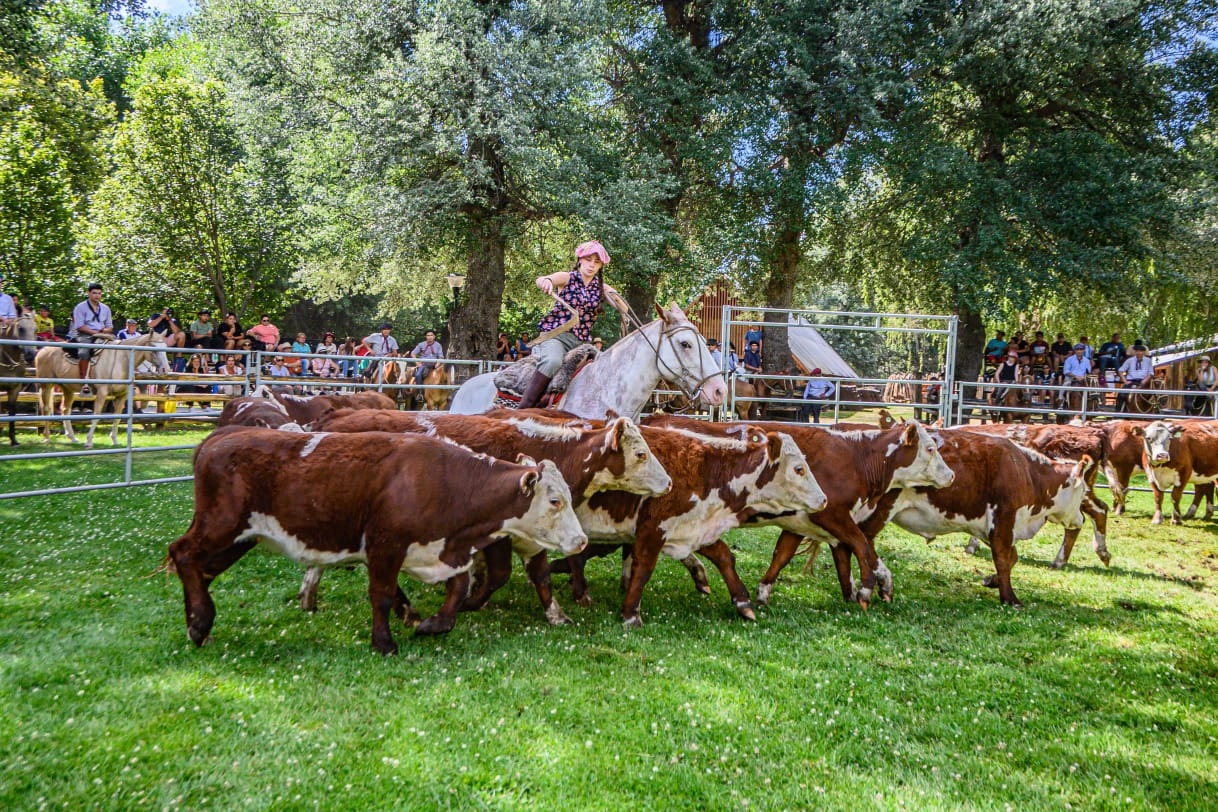 Una nueva expo rural en Junín de los Andes llega en los próximos días.