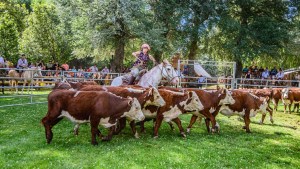 Se viene una nueva Expo Rural de Neuquén en Junín de los Andes