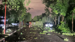 Video | «Fue como un ciclón»: destrozos y apagones en varias ciudades del Alto Valle por la violenta tormenta