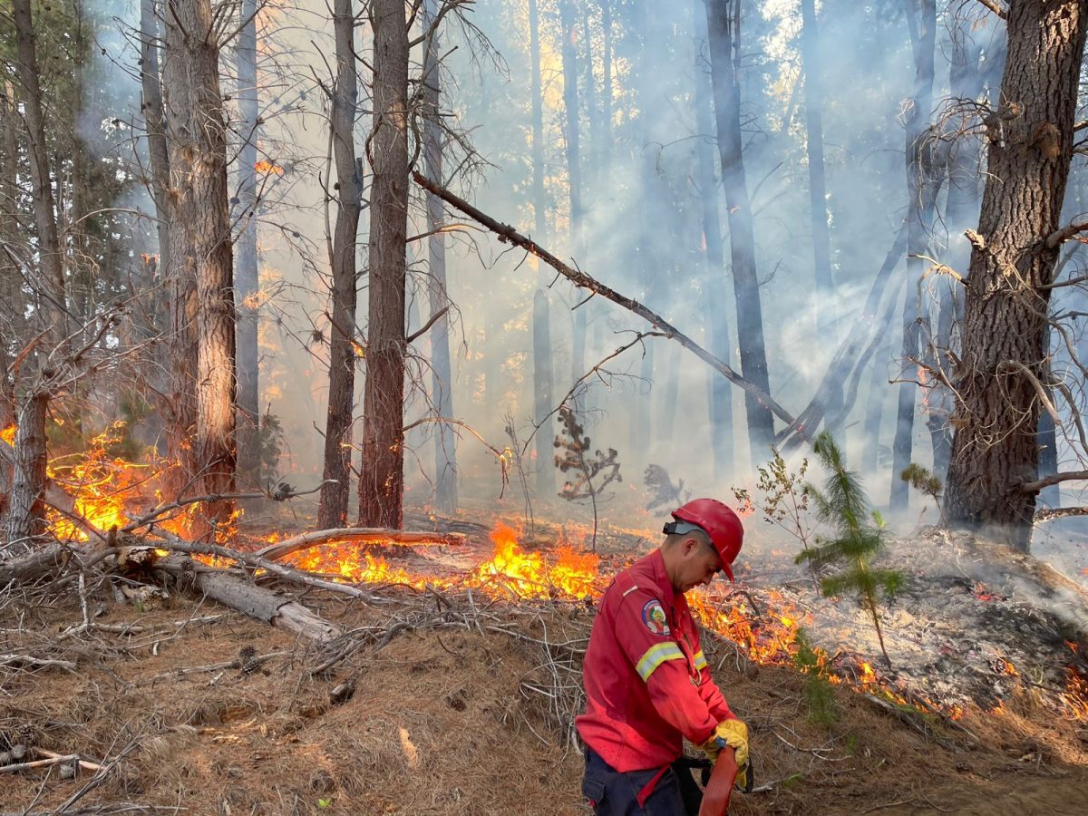 Incendio en Chubut.