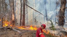 Imagen de Incendio forestal en Chubut: combaten el fuego en Los Cipreses que ya consumió más de 100 hectáreas