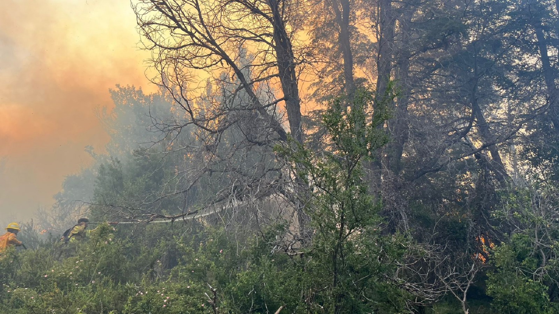 Cómo empezó el incendio en el parque Lanín, al sur del lago Meliquina: hoy siguen los rastrillajes. Foto: gentileza