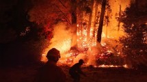 Imagen de Incendios en la Patagonia, en vivo: el viento aumentó la actividad del fuego en el parque Lanín