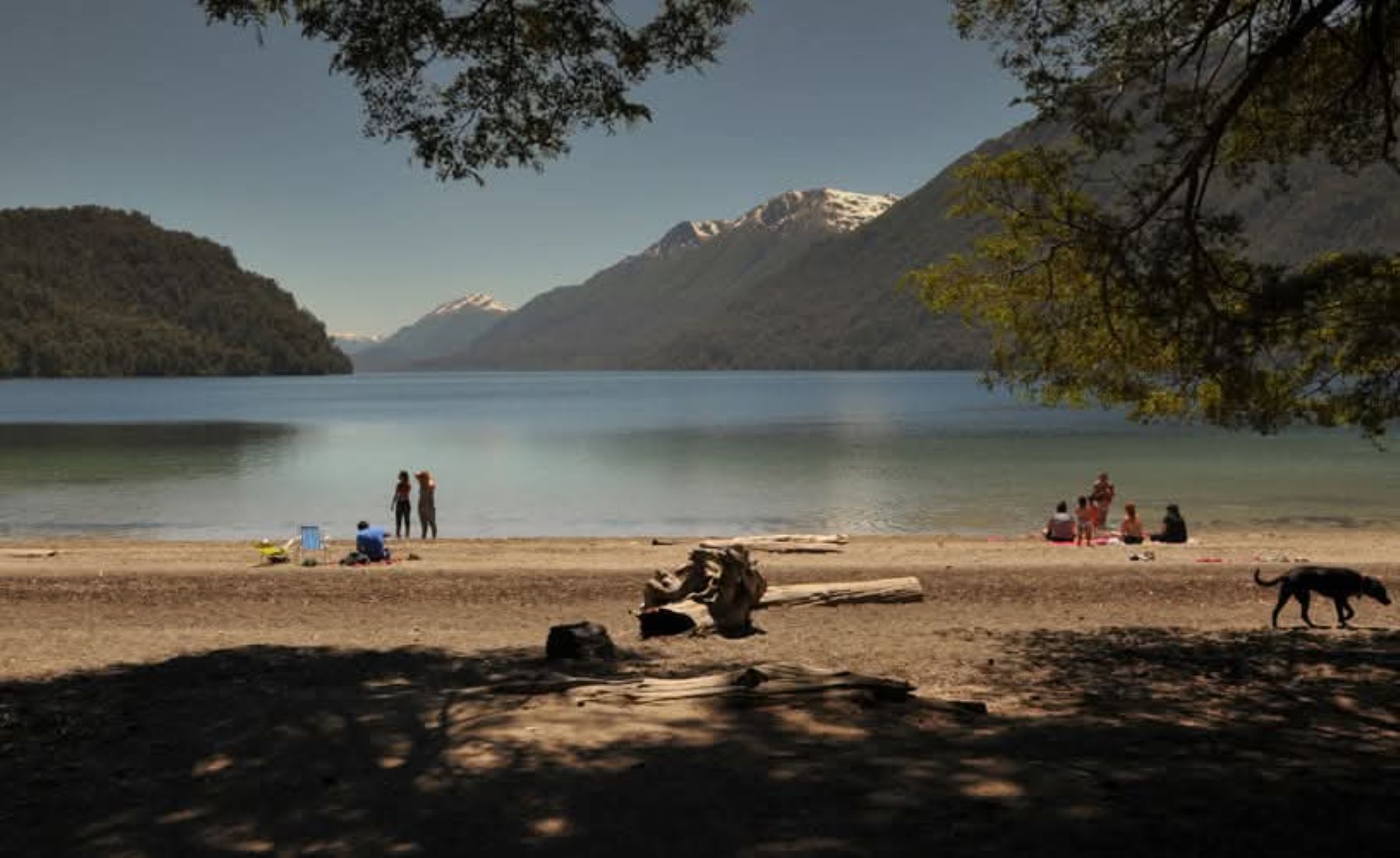 Un camping de Villa La Angostura en una disputa con el Municipio. Foto: Facebook Camping Correntoso. 