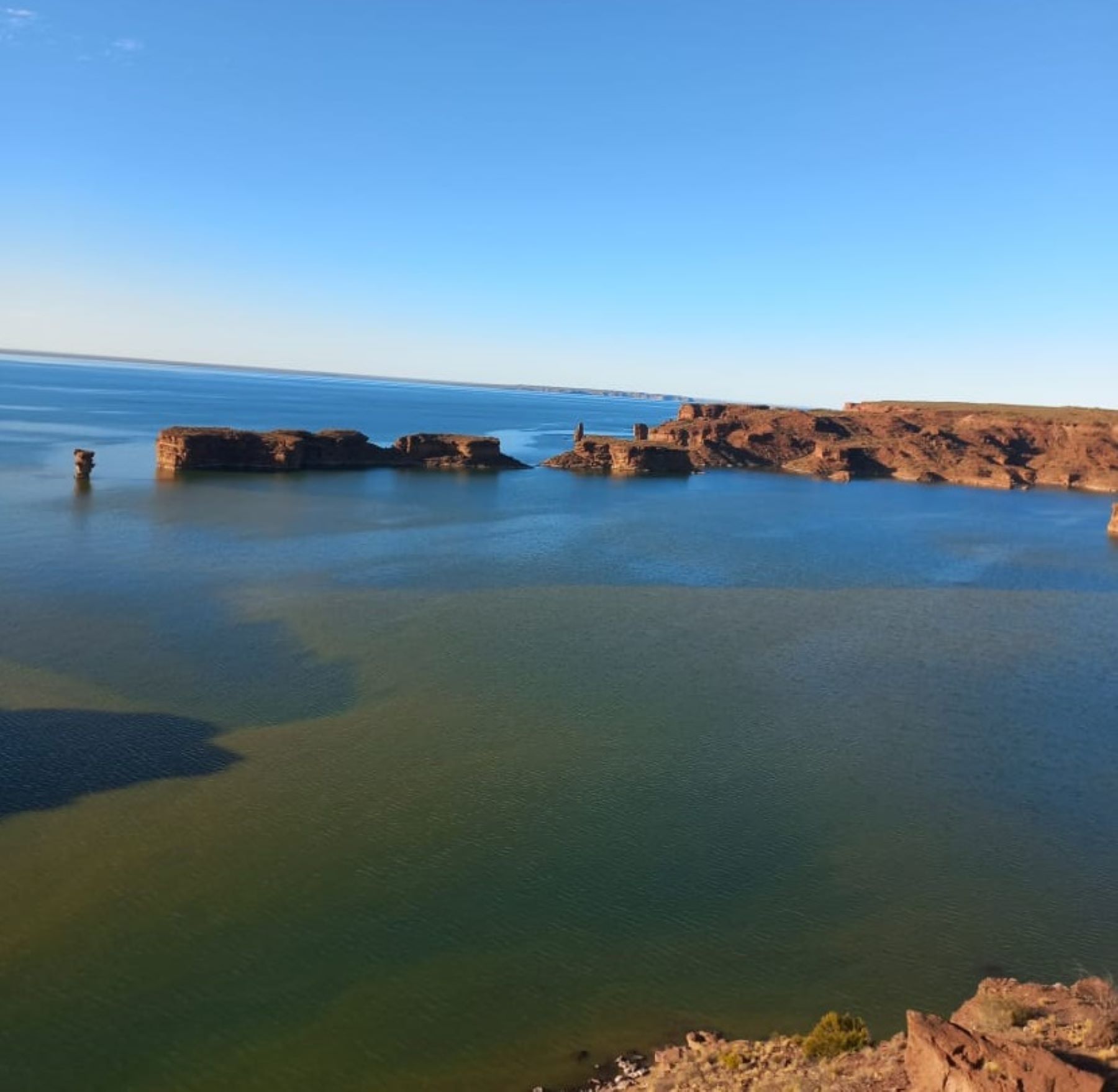 Las cianobacterias se identifican a simple vista: son manchones verdes y se puede ver espuma también en la superficie. Foto: gentileza