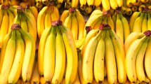 Imagen de Cómo hacer un fertilizante orgánico con cáscara de banana