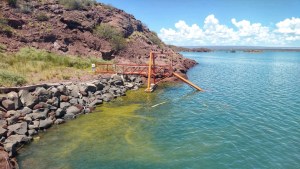 Mapa: en qué lagos de Neuquén se detectaron las cianobacterias y cuál es el vinculo con la ola de calor