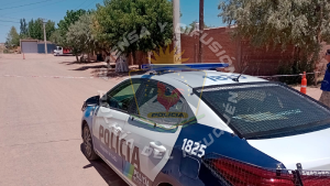 Imputaron al hombre que hirió gravemente con un cuchillo a un joven en Rincón de los Sauces