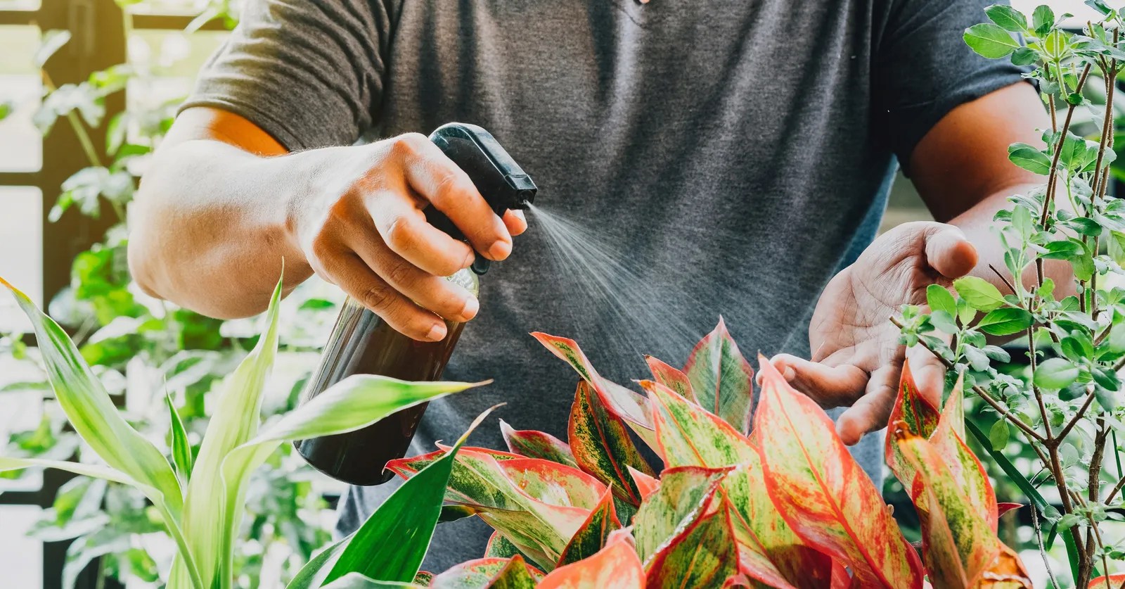 Con este abono casero, no solo se mejora la salud de las plantas, sino que también se fomenta un cuidado más natural y sostenible del jardín.