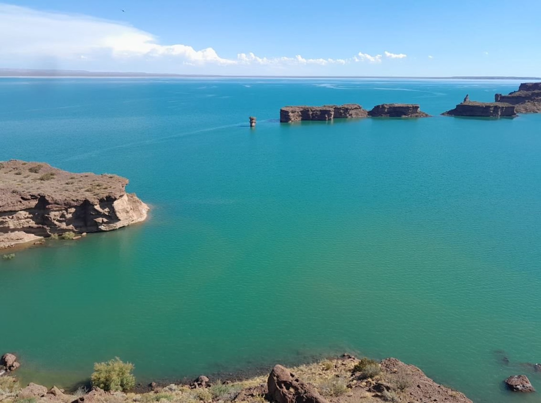 Las floraciones de cianobacterias implican un riesgo creciente en embalses de Neuquén