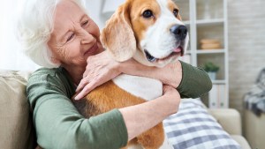 Ofrecé tu hogar a un perrito o un gatito: cómo ser parte de esta iniciativa en Neuquén