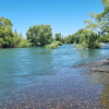 Imagen de Buscan a un bañista en el río Neuquén: lleva un día desaparecido en San Patricio del Chañar