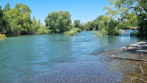 Buscan a un bañista en el río Neuquén: lleva un día desaparecido en San Patricio del Chañar